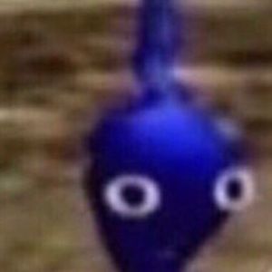 Meet your Posher, Abenet